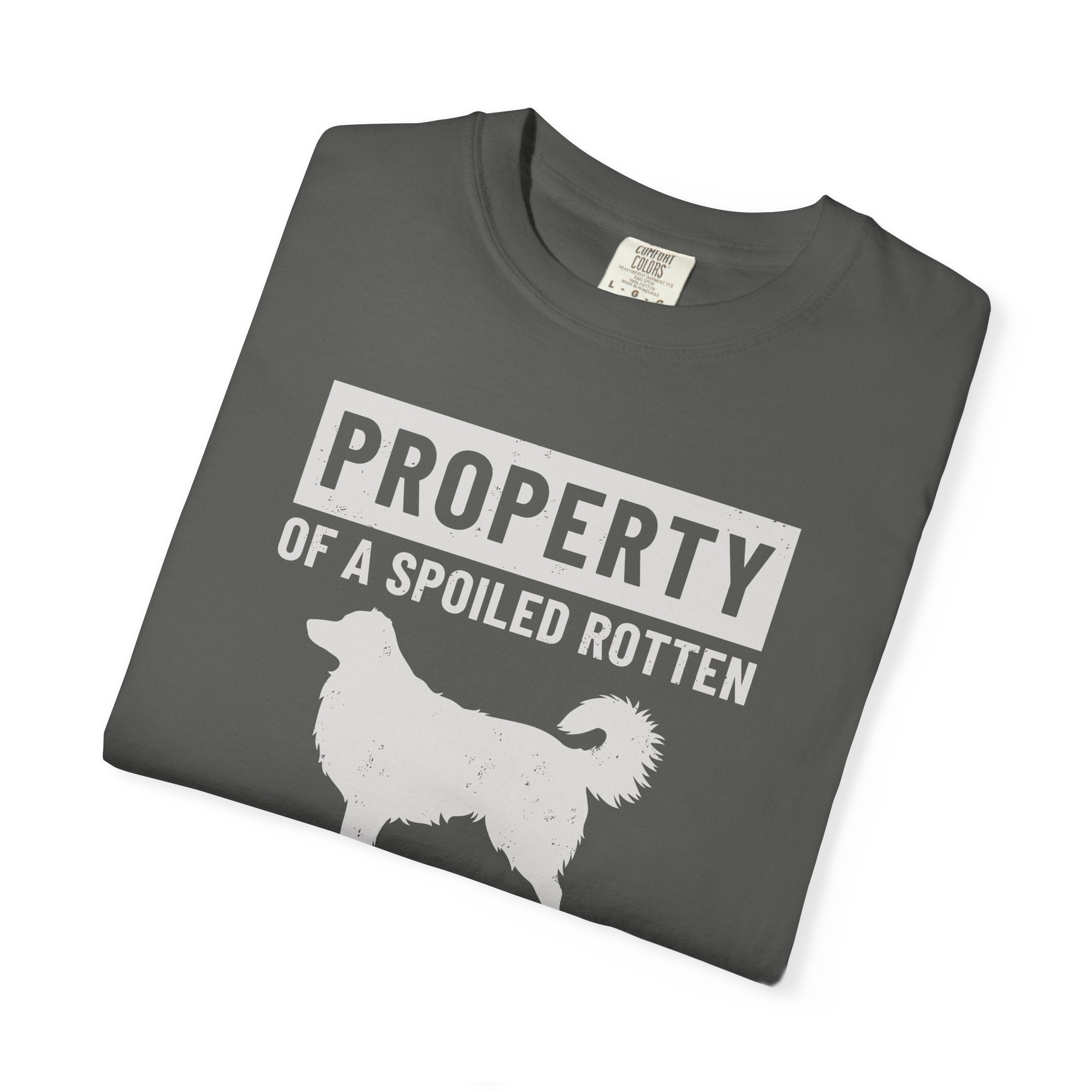 Property of an Australian Shepherd Tee