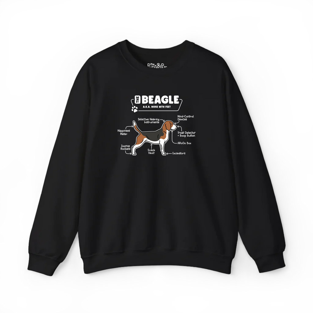 Front (11)