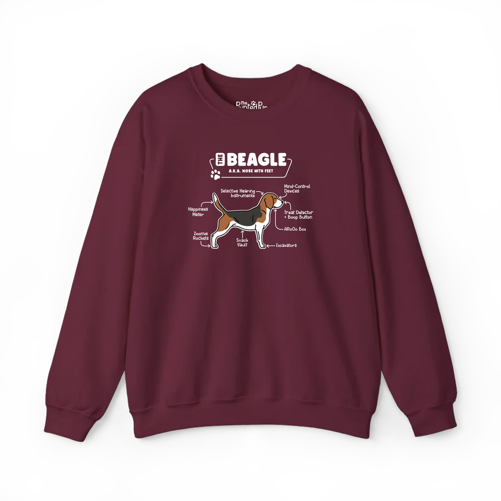 Front (13)