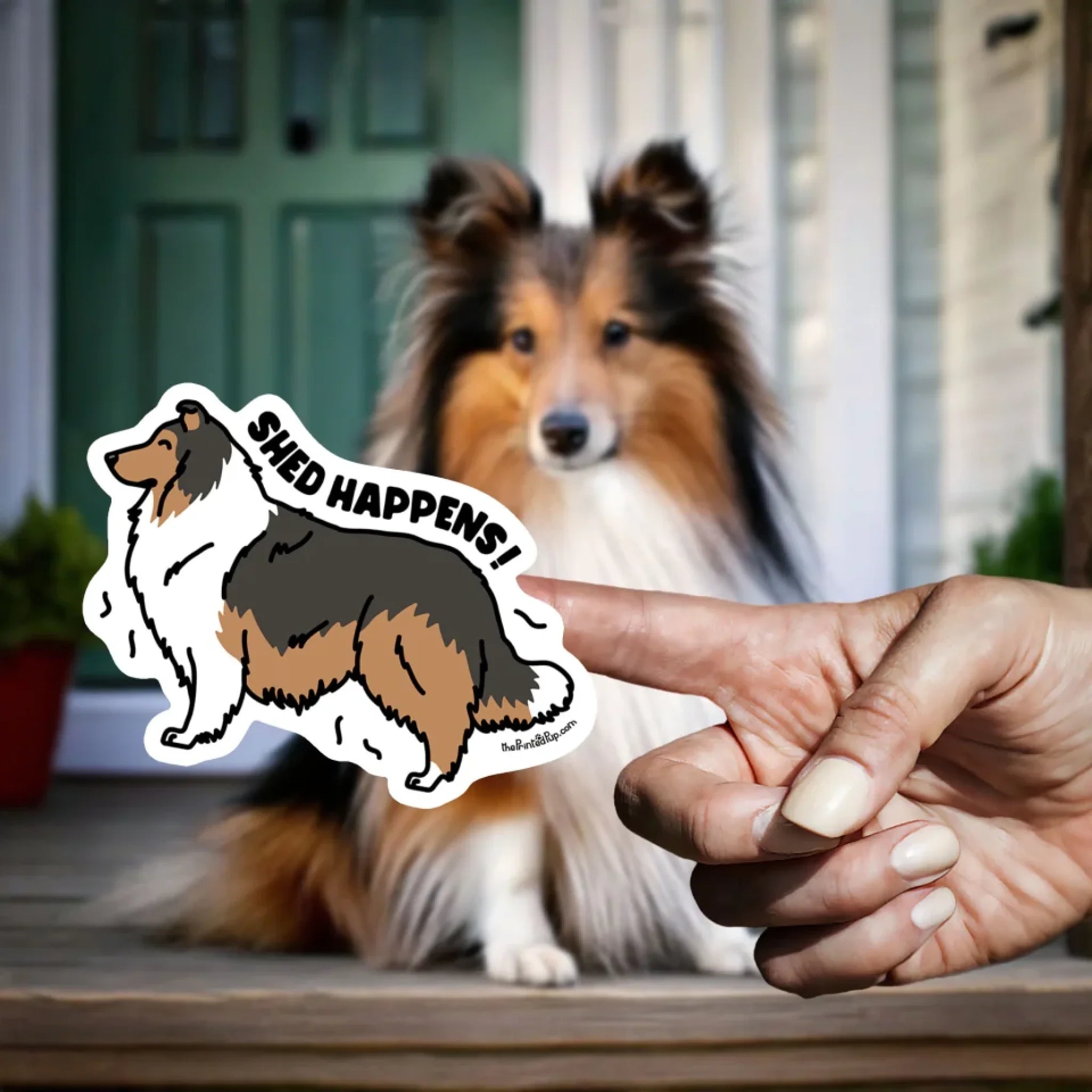 Sticker-on-Finger_Kawaii_Shetland-Sheepdog