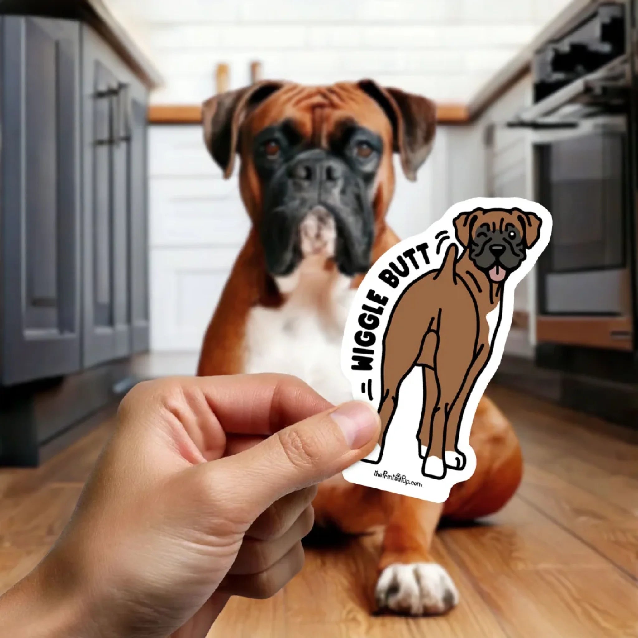 Sticker-on-Fingertip_Kawaii_Boxer