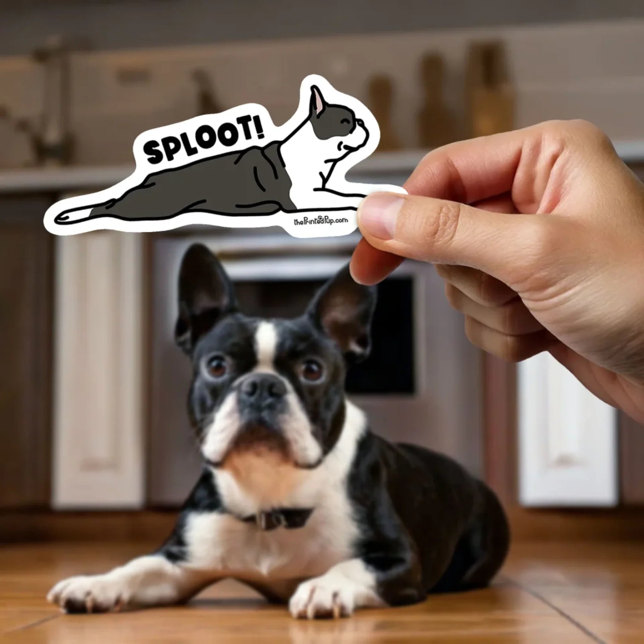 Sticker-on-Finger_Kawaii_Terrier-Boston