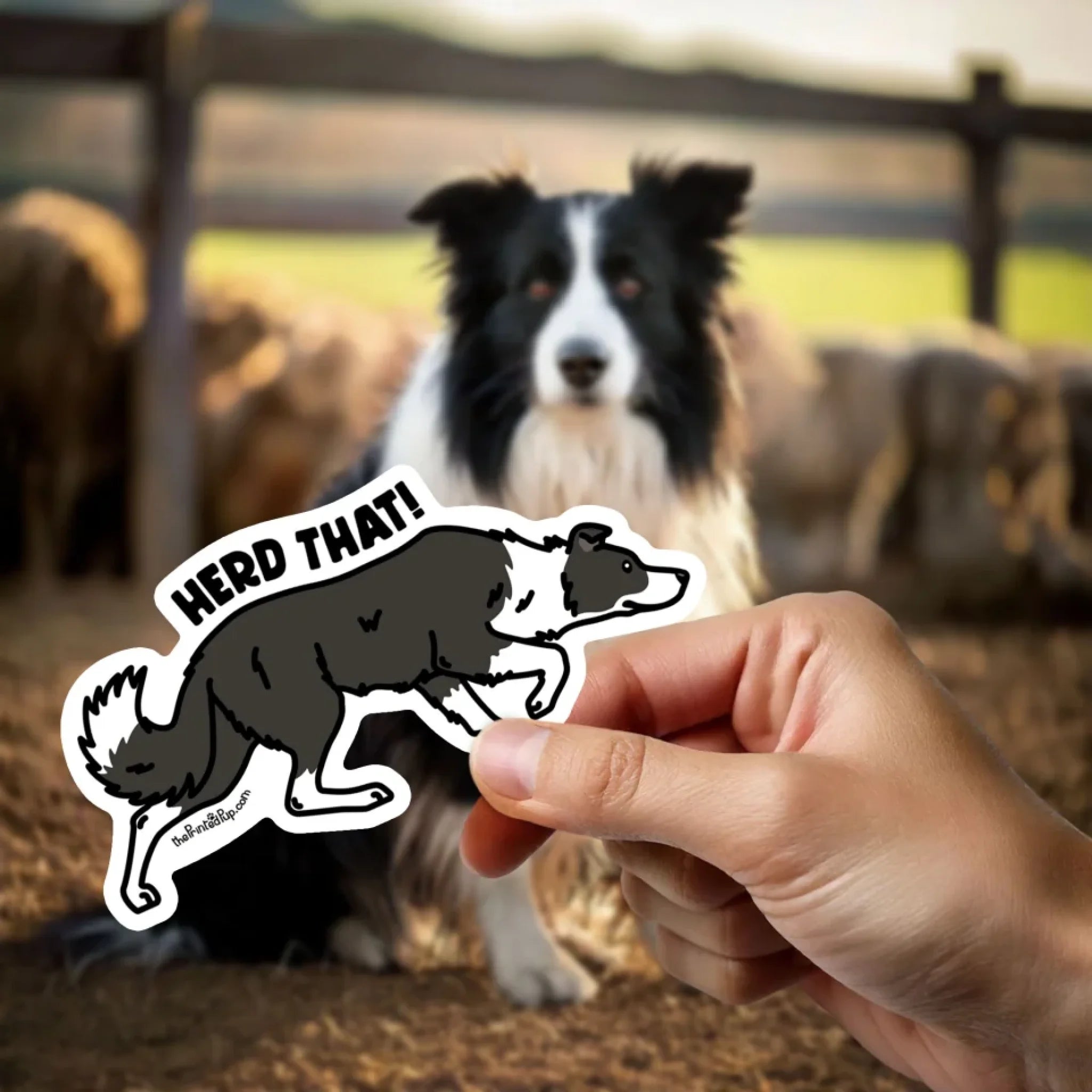 Sticker-on-Finger_Kawaii_Collie-Border