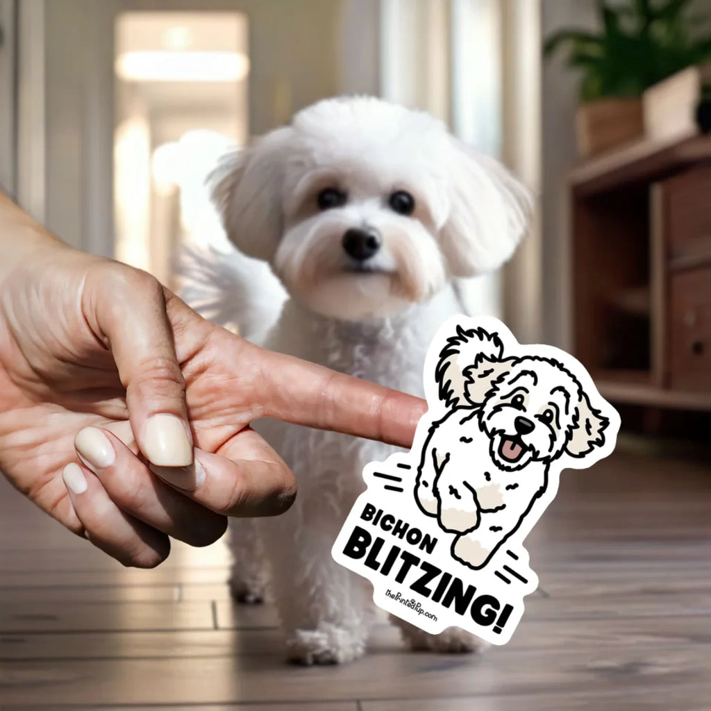 Sticker-on-Fingertip_Kawaii_Bichon-Frise