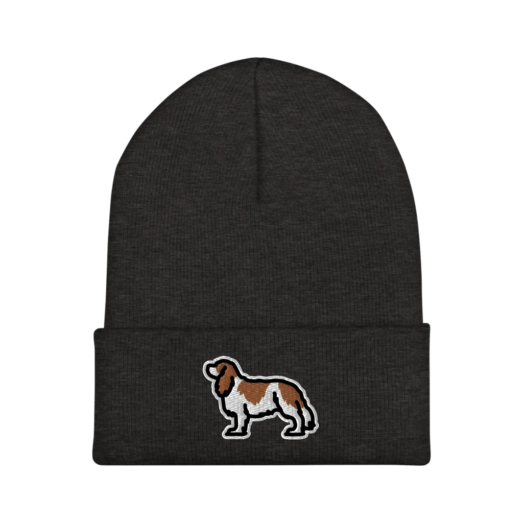 Beanie_Dark Gray