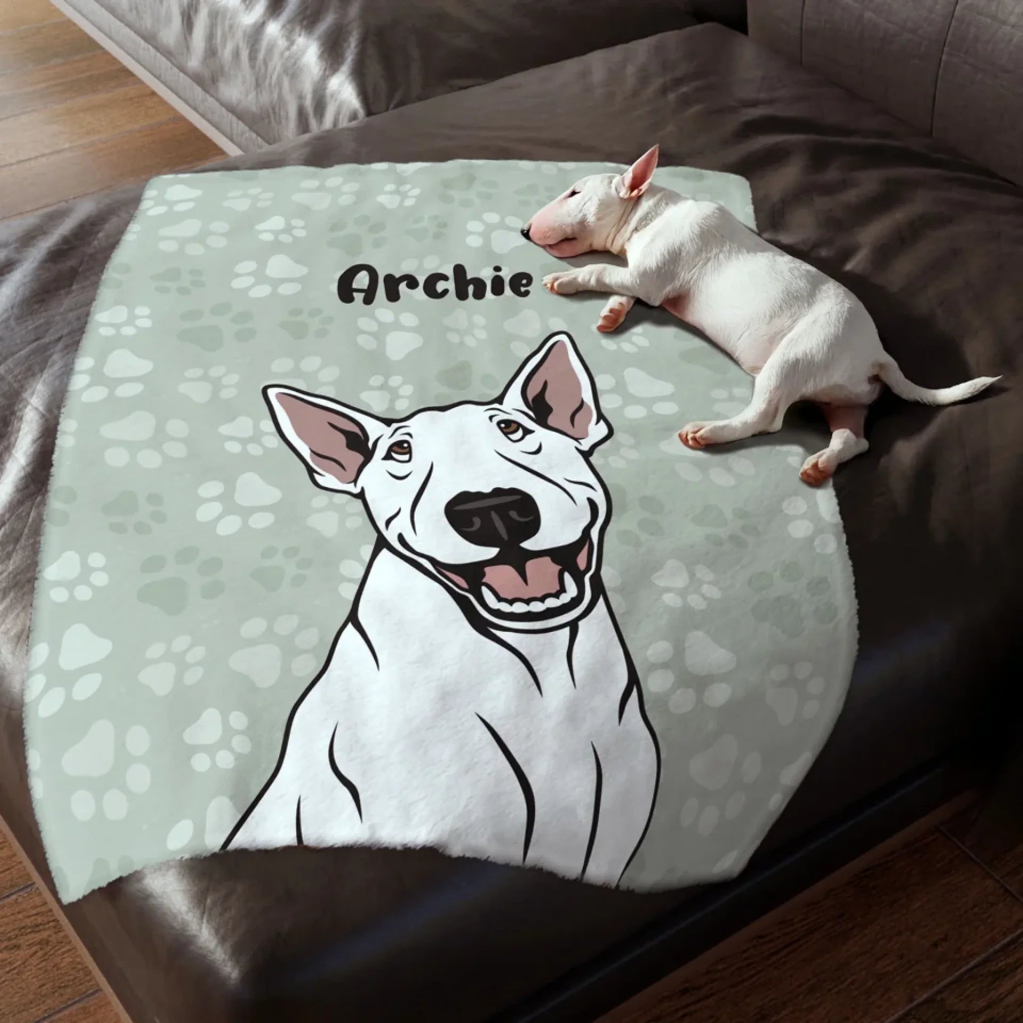 Blanket-over-Couch-with-Dog-on-Top