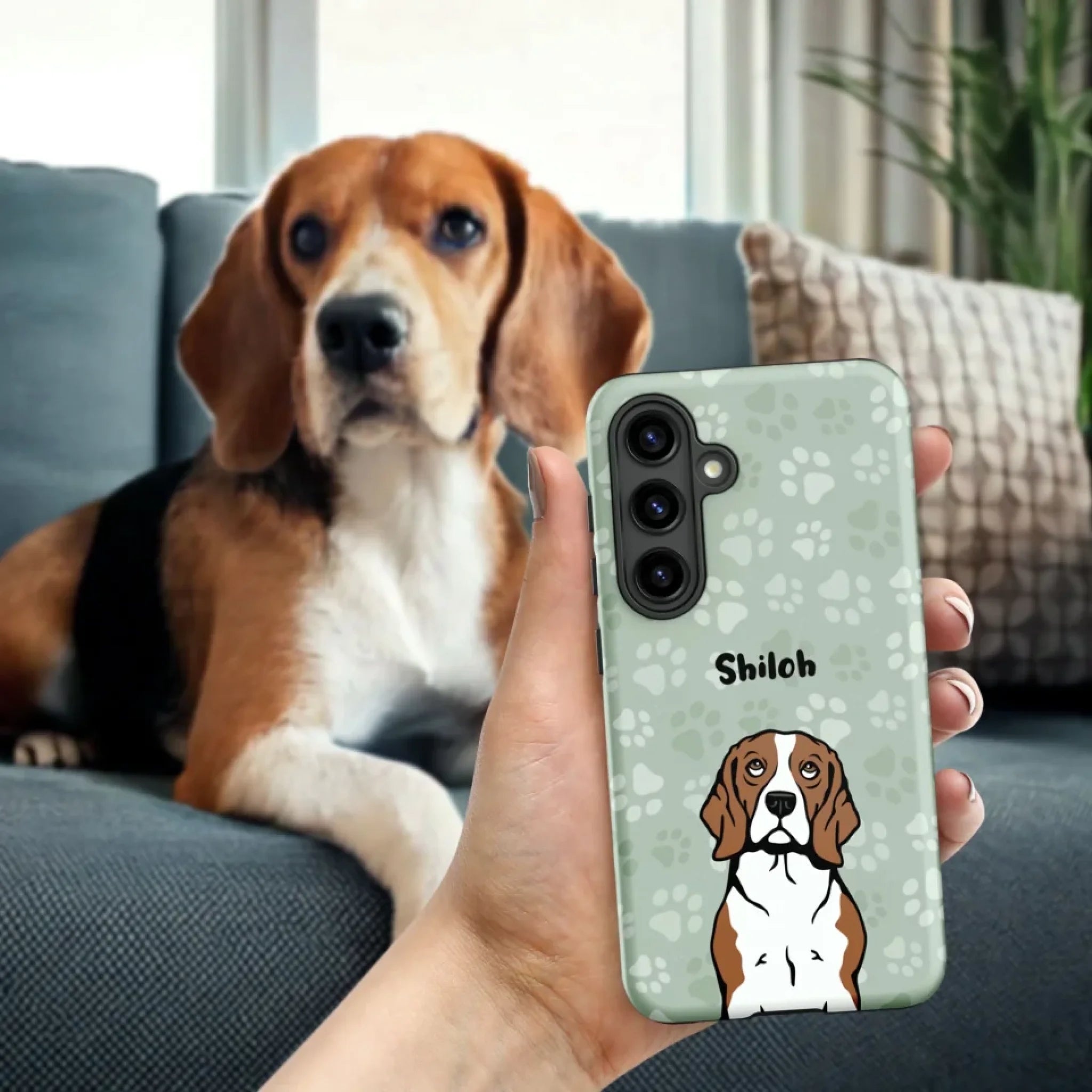 Tough-Case_Beagle-on-a-Sofa