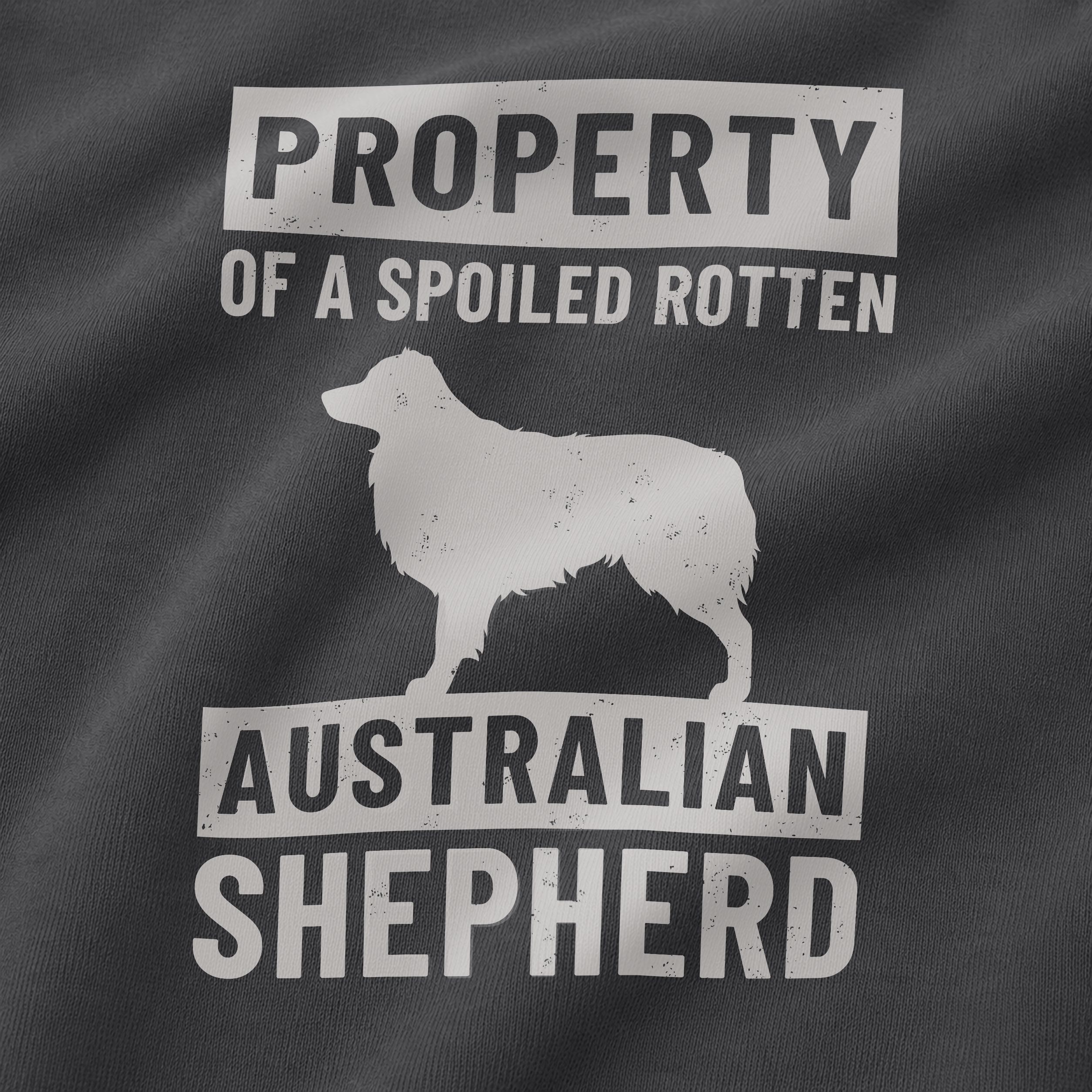 Property of an Australian Shepherd Tee